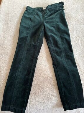 The Essential Slim Green Velvet Pants by Anthropologie Size 6